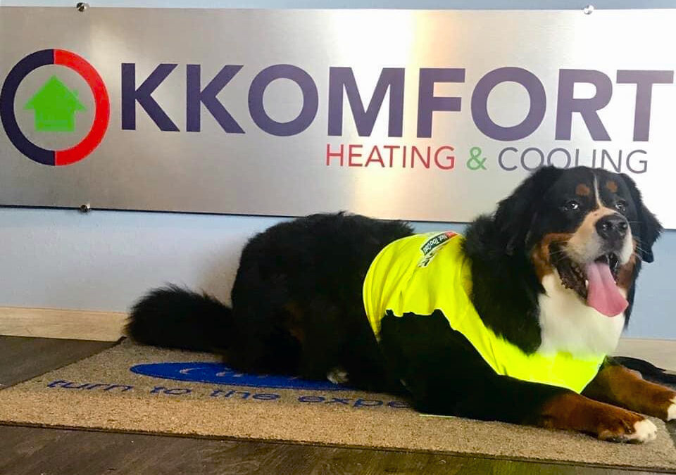 Bernese Mountain Dog mascot lying in front of the K Komfort Heating & Cooling wall sign.